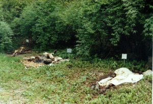 Burial ground